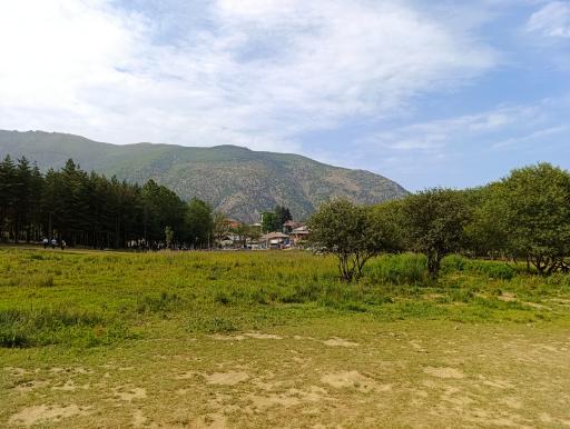 عکس پارک جنگلی صیقل محله جواهرده