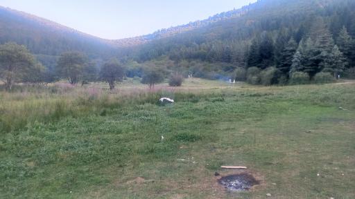 عکس پارک جنگلی صیقل محله جواهرده