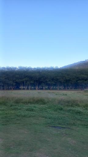 عکس پارک جنگلی صیقل محله جواهرده