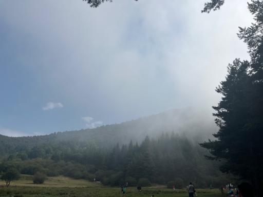 عکس پارک جنگلی صیقل محله جواهرده