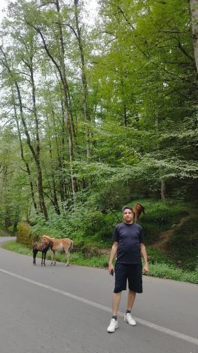 عکس پارک جنگلی صیقل محله جواهرده