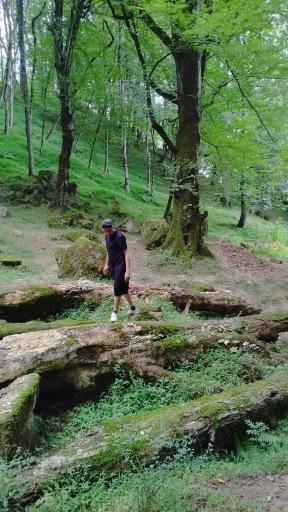 عکس پارک جنگلی صیقل محله جواهرده