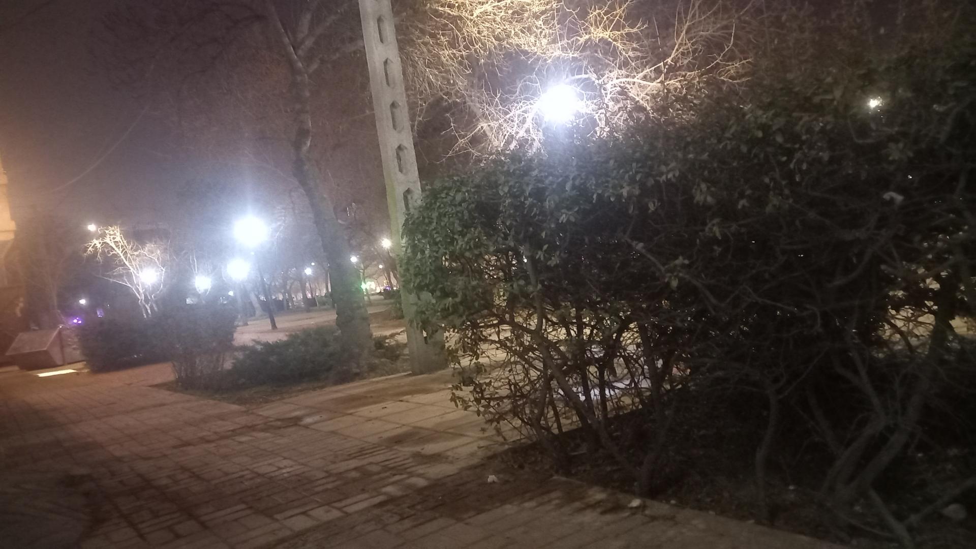 عکس فضای سبز