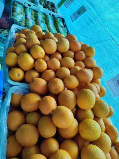 عکس بازارچه میوه و تره بار کردستان