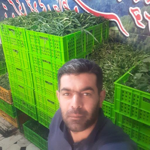 عکس سبزی خردکنی خاطره سبز