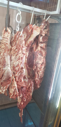 عکس کبابی آرکا