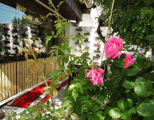 عکس کافه کتاب