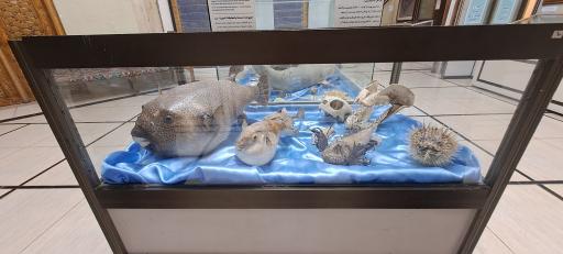 عکس موزه آستان مقدس حضرت معصومه