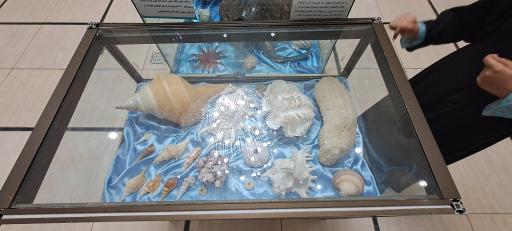 عکس موزه آستان مقدس حضرت معصومه