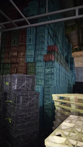 عکس سبد فروشی شیرکو احمدی