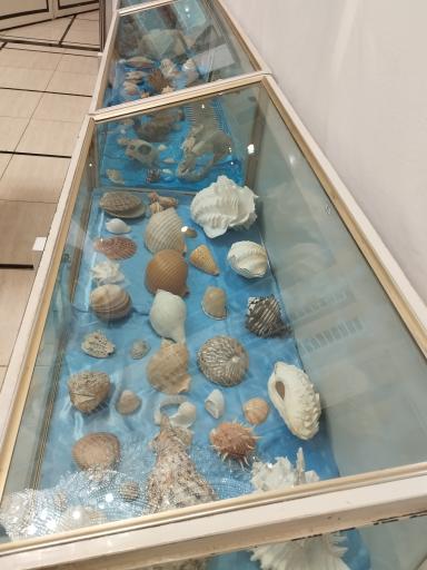 عکس موزه آستان مقدس حضرت معصومه