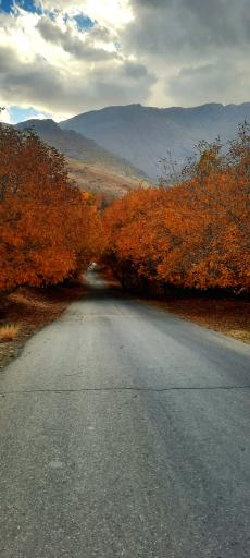 عکس کمالوند