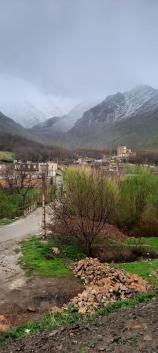 عکس کمالوند