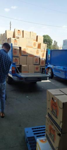 عکس پخش تخم‌مرغ فلامینگو 