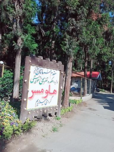 عکس پارک جنگلی هلومسر