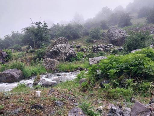 عکس فشکور