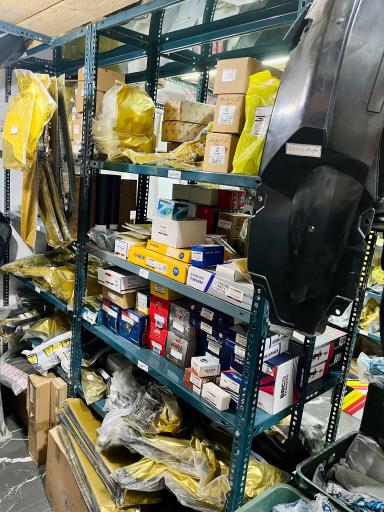 عکس چین یدک نوجوان