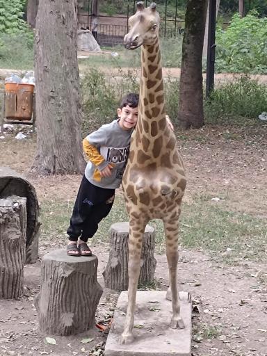 عکس پارک جنگلی هلومسر