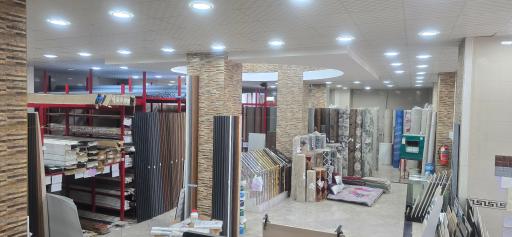 عکس هلدینگ مانیا اریانما