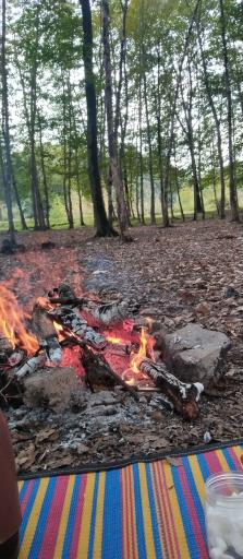 عکس پارک جنگلی هلومسر