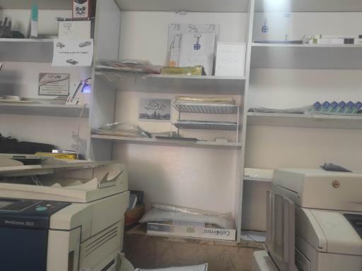 عکس چاپ و تکثیر ایلیا 