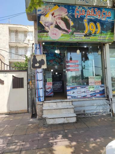 عکس پخش تخم‌مرغ فلامینگو 