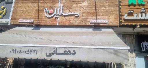 گل سلین