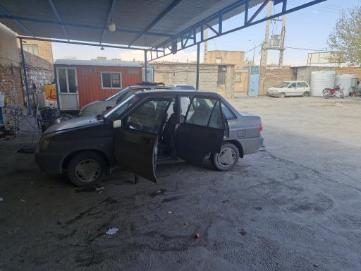 کارواش دودلفین