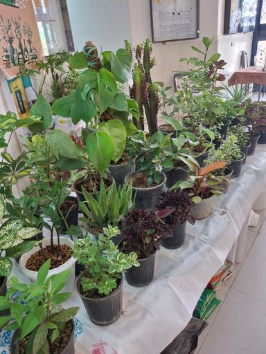 عکس فرهنگسرای کتاب