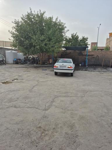 کارواش دودلفین