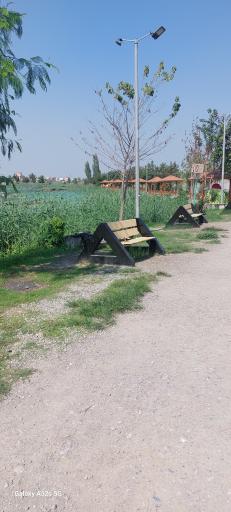 عکس مجموعه تفریحی تالاب نیلوفر آبی