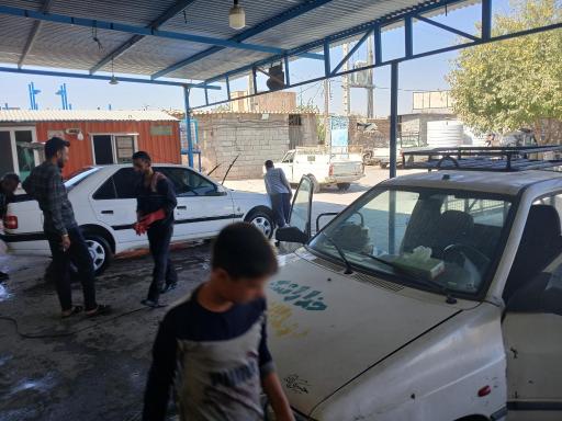 عکس کارواش دودلفین