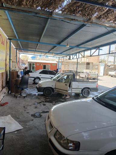 عکس کارواش دودلفین