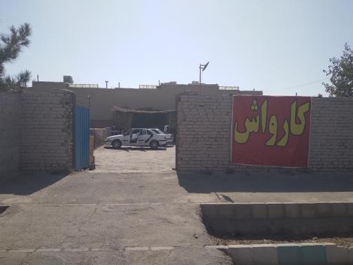 عکس کارواش دودلفین
