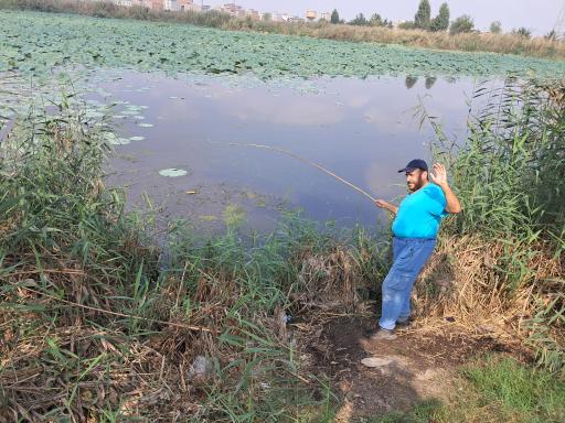 مجموعه تفریحی تالاب نیلوفر آبی