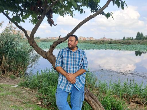 مجموعه تفریحی تالاب نیلوفر آبی