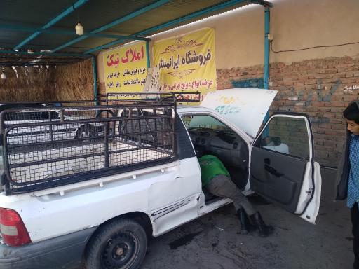 کارواش دودلفین