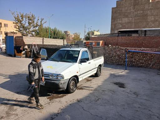 عکس کارواش دودلفین