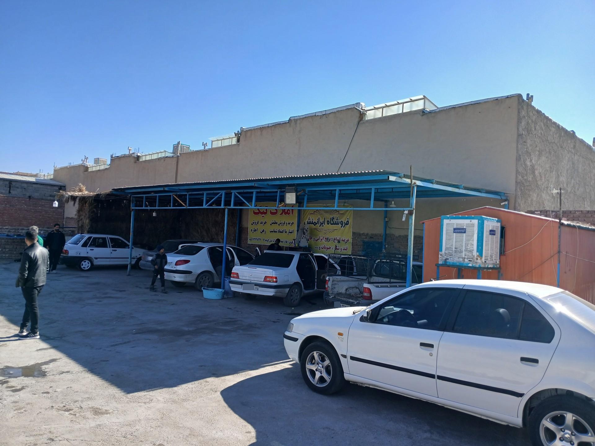 عکس کارواش دودلفین