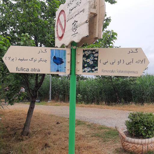 مجموعه تفریحی تالاب نیلوفر آبی