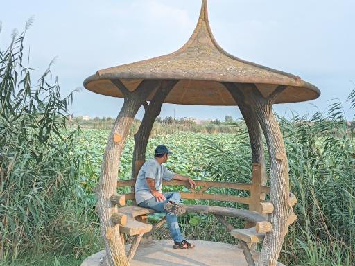 عکس مجموعه تفریحی تالاب نیلوفر آبی