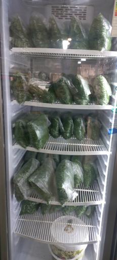 عکس سبزی آماده محمد