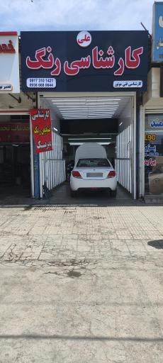 کارشناسی تشخیص رنگ علی