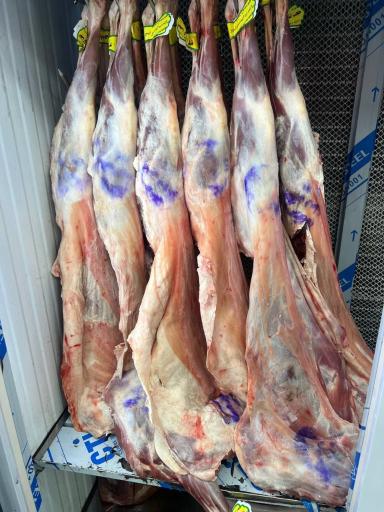 عکس سوپر گوشت جزیره شتر مرغ 