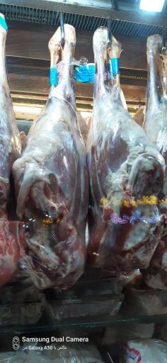 عکس سوپر گوشت جزیره شتر مرغ 