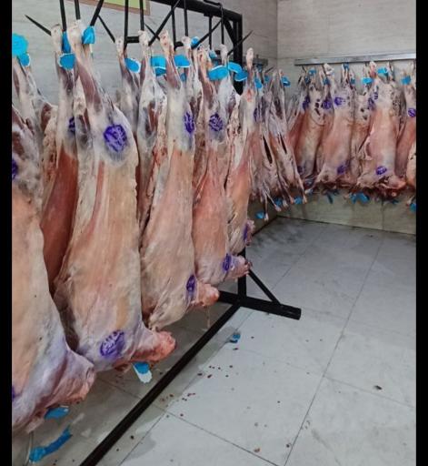 عکس سوپر گوشت جزیره شتر مرغ 