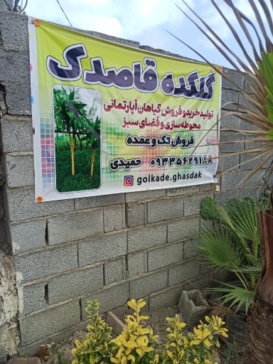 گلکده قاصدک 