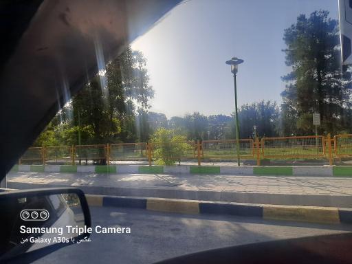 عکس بوستان لاله
