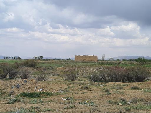 عکس کبوتر خانه