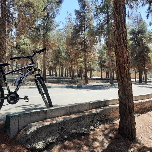 عکس پیست دوچرخه سواری